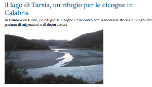 Il Lago di Tarsia, un rifugio per le cicogne in Calabria